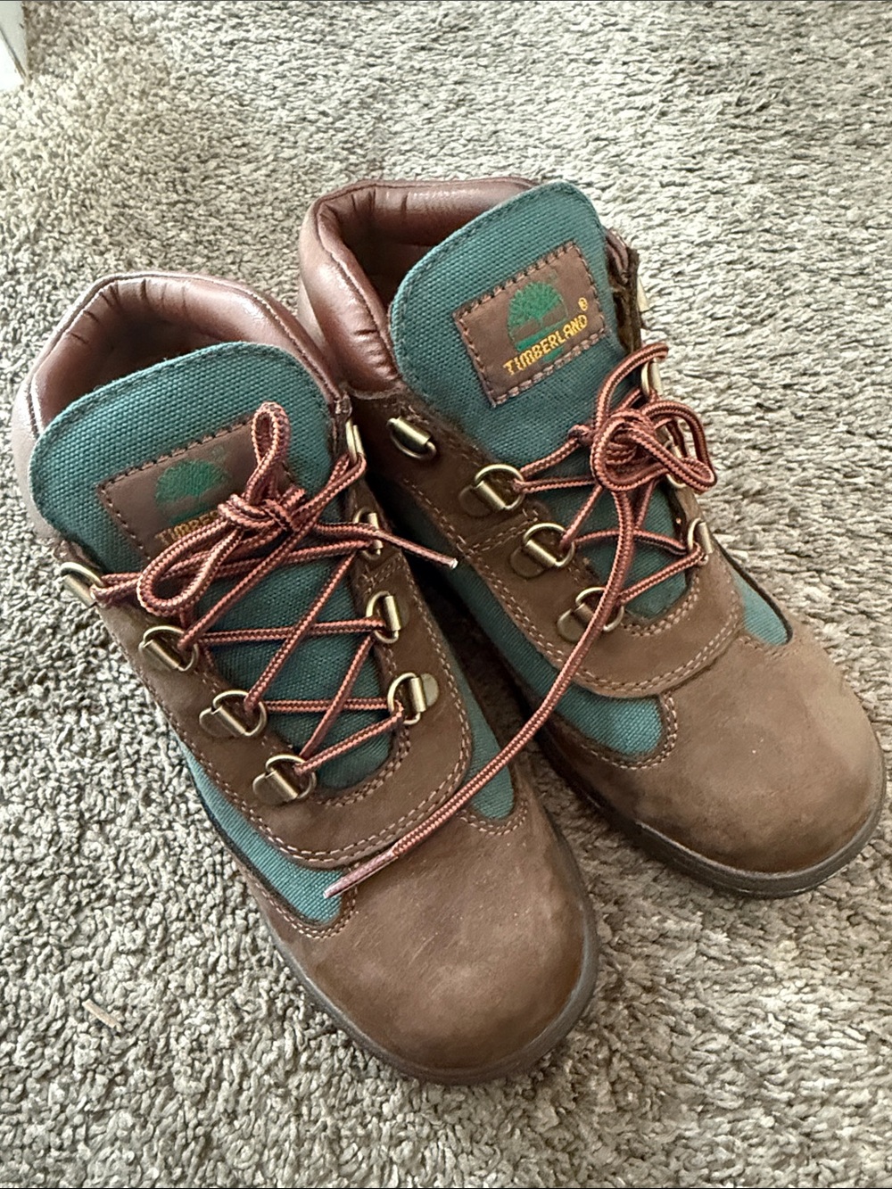 Timberland Kids Brown and Green Trail Boots